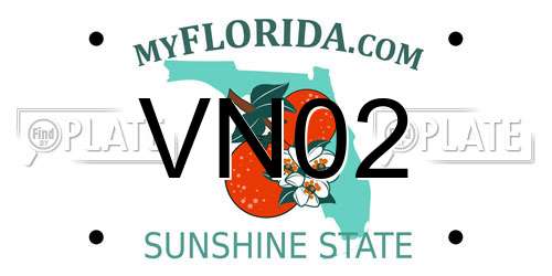 VN02 Florida License Plate