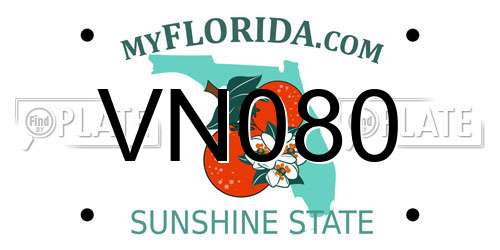 VN080 Florida License Plate