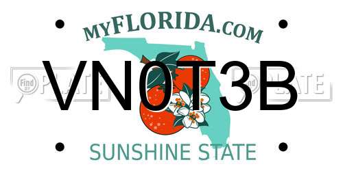 VN0T3B Florida License Plate