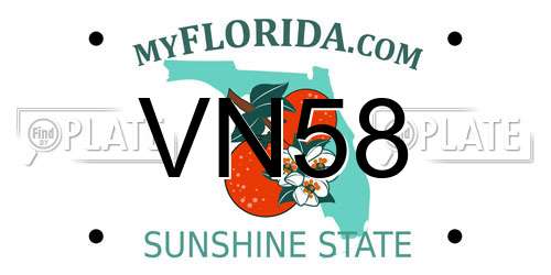 VN58 Florida License Plate