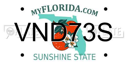 VND73S Florida License Plate