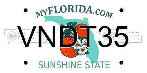 VNDT35 Florida License Plate