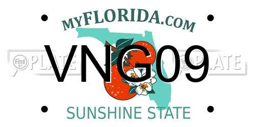 VNG09 Florida License Plate