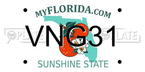 VNG31 Florida License Plate