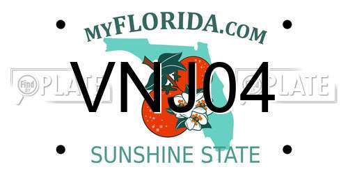 VNJ04 Florida License Plate