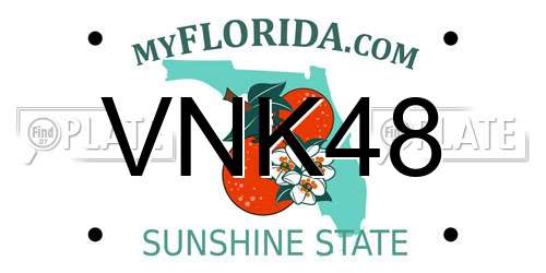 VNK48 Florida License Plate