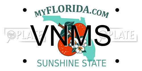 VNMS Florida License Plate