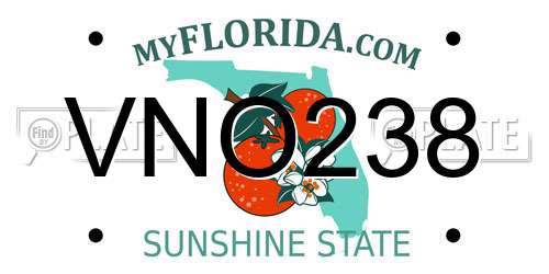 VNO238 Florida License Plate