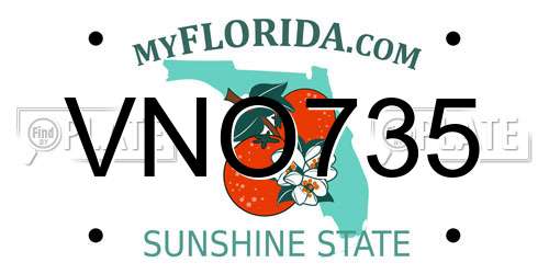 VNO735 Florida License Plate