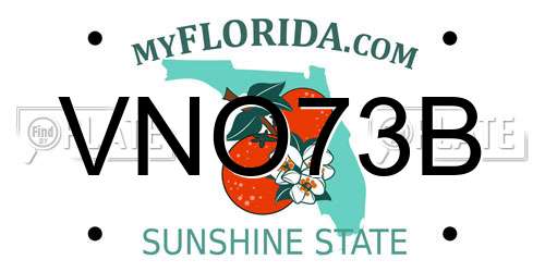 VNO73B Florida License Plate