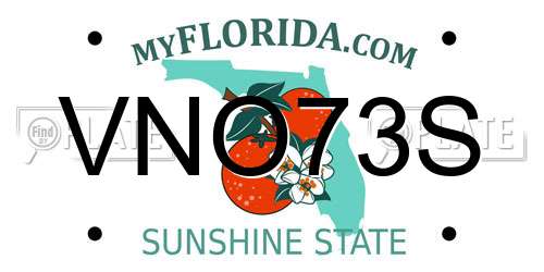 VNO73S Florida License Plate