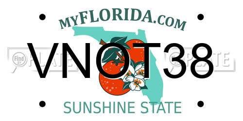 VNOT38 Florida License Plate