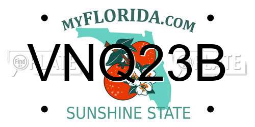 VNQ23B Florida License Plate