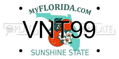 VNT99 Florida License Plate