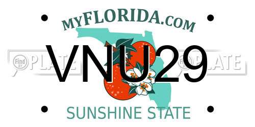 VNU29 Florida License Plate
