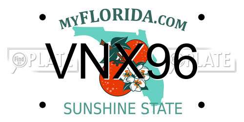 VNX96 Florida License Plate