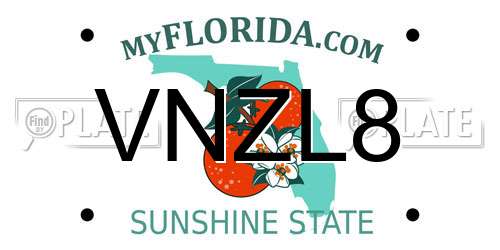 VNZL8 Florida License Plate