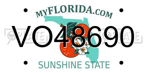 VO48690 Florida License Plate