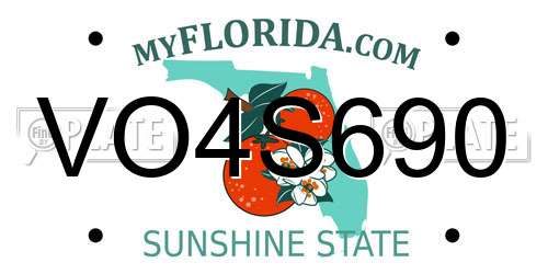 VO4S690 Florida License Plate