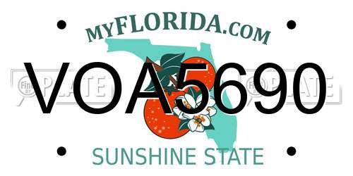 VOA5690 Florida License Plate