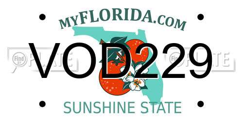 VOD229 Florida License Plate