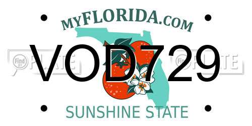 VOD729 Florida License Plate