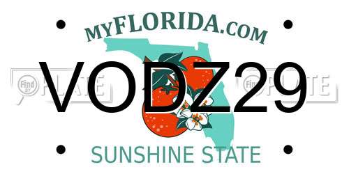 VODZ29 Florida License Plate