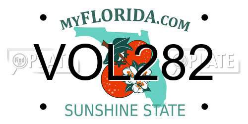 VOL282 Florida License Plate