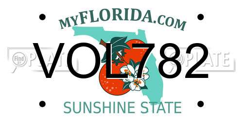 VOL782 Florida License Plate