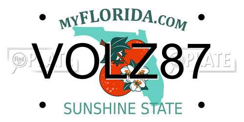 VOLZ87 Florida License Plate