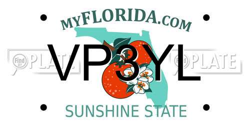 VP3YL Florida License Plate