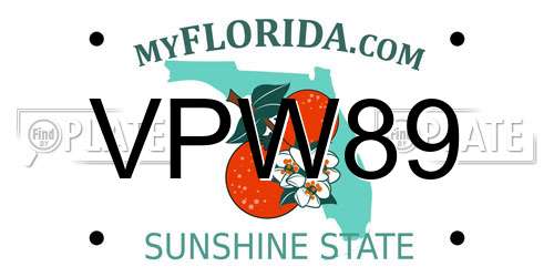 VPW89 Florida License Plate