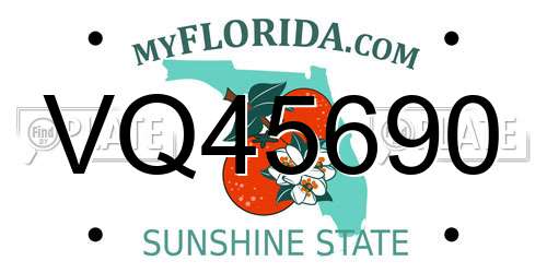 VQ45690 Florida License Plate