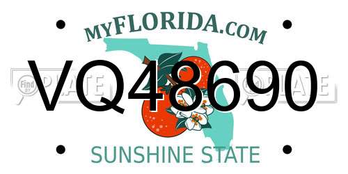 VQ48690 Florida License Plate