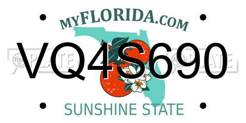VQ4S690 Florida License Plate
