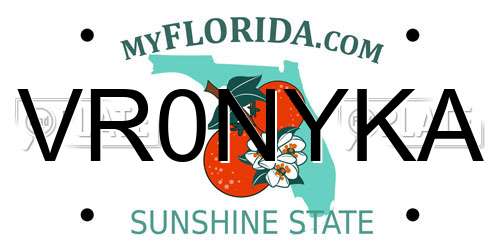 VR0NYKA Florida License Plate