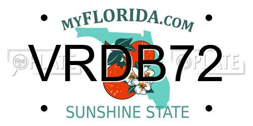 VRDB72 Florida License Plate