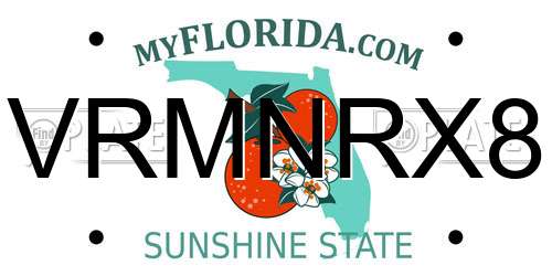 VRMNRX8 Florida License Plate