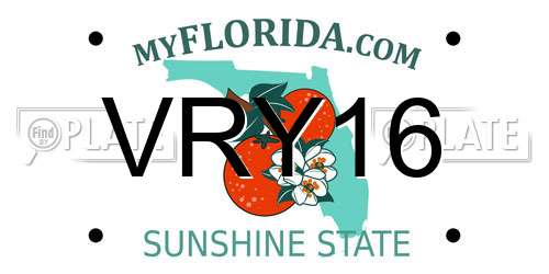 VRY16 Florida License Plate