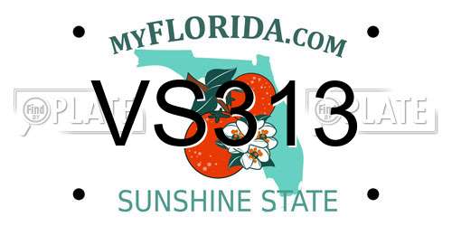 VS313 Florida License Plate
