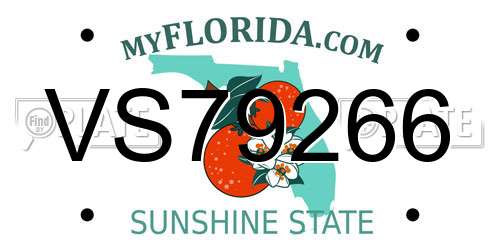 VS79266 Florida License Plate