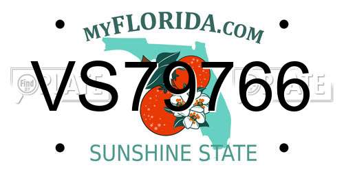 VS79766 Florida License Plate