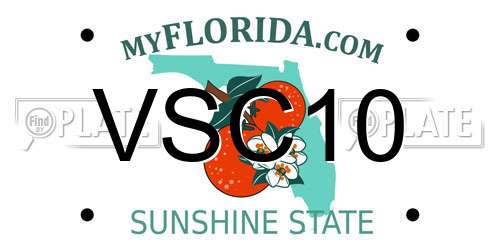 VSC10 Florida License Plate