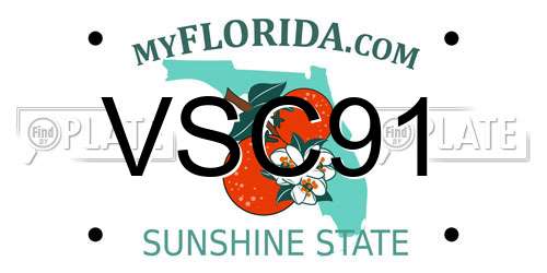 VSC91 Florida License Plate