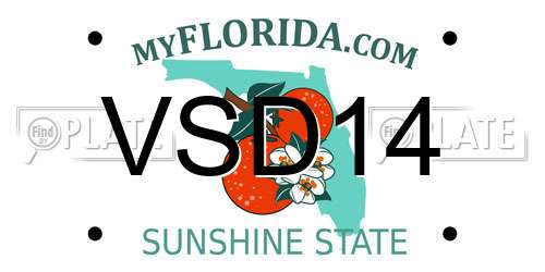 VSD14 Florida License Plate