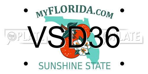 VSD36 Florida License Plate