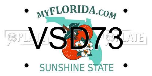 VSD73 Florida License Plate