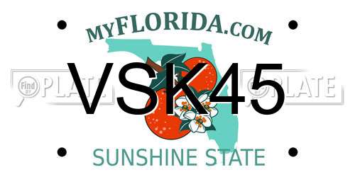 VSK45 Florida License Plate