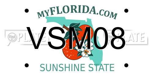 VSM08 Florida License Plate