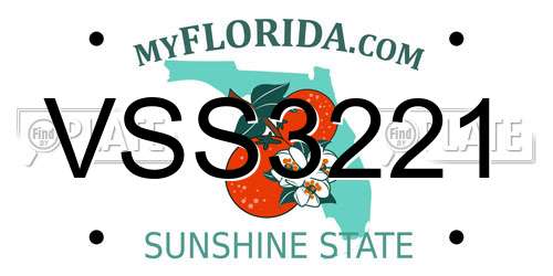 VSS3221 Florida License Plate